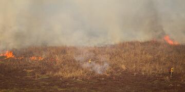 Incendios en el Delta del Paraná.