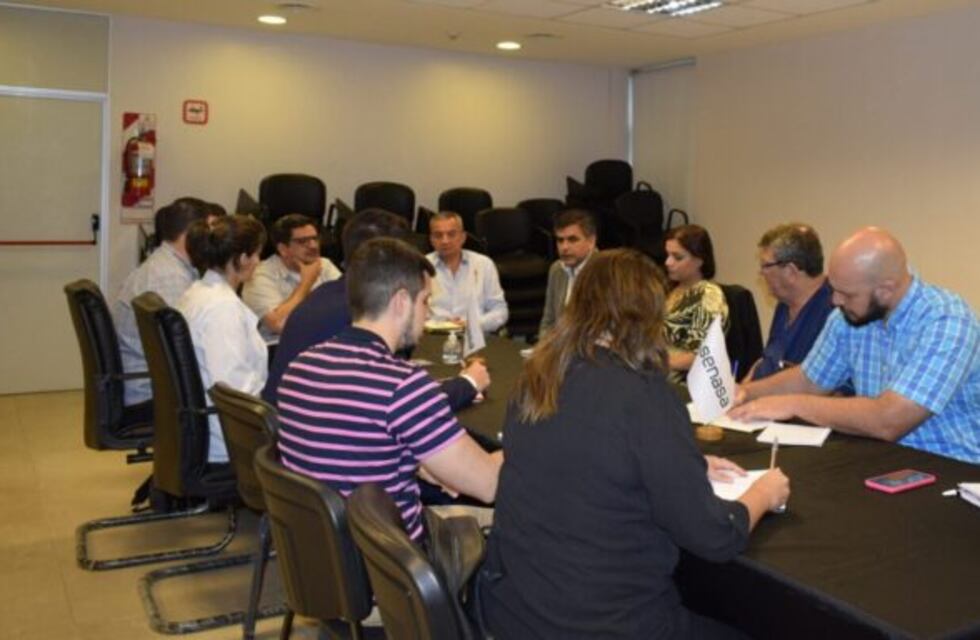 Medidas preventivas y control de las encefalomielitis (encefalitis) equinas