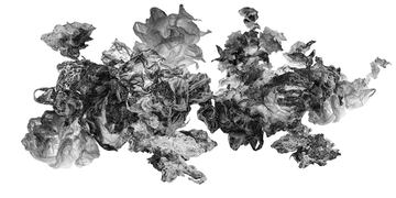 Se inaugura en el Museo Histórico la muestra del Programa de Artistas de LAVA