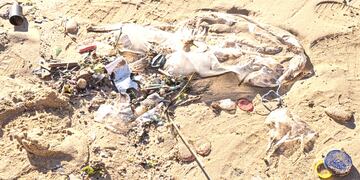 residuos en la costa bonaerense