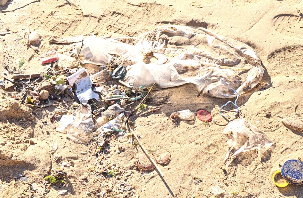 Contaminación: el plástico está presente en 7 de cada 10 residuos en la costa bonaerense