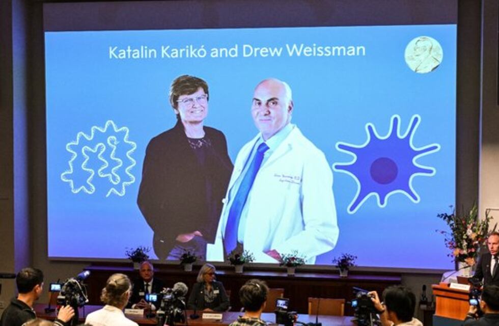 El Premio Nobel de Medicina fue para descubridores de ARN mensajero que facilitó la vacuna contra Covid-19