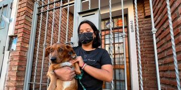 Delincuentes tiraron a su perro por el balcón.