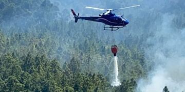 La selva misionera podría necesitar decenas de años para recuperarse de los incendios.