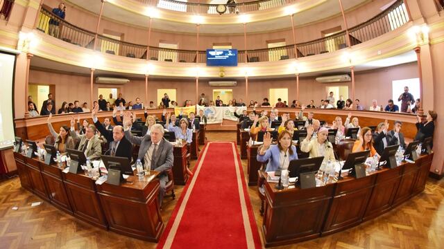 Media sanción para el proyecto de ley de equinoterapia y otras terapias asistidas con animales