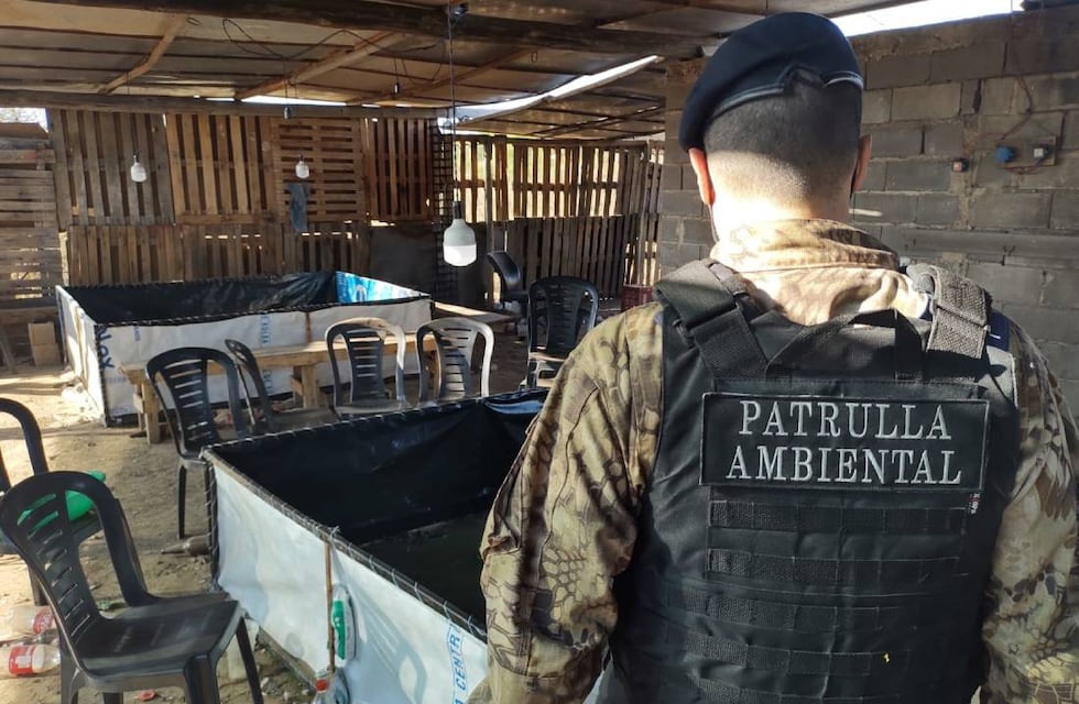 Siete detenidos en Córdoba por organizar una pelea de gallos