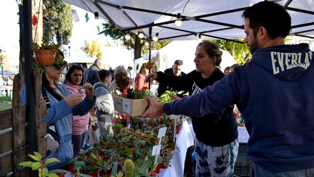 El sábado 17 se desarrollará el Maipú Natural.