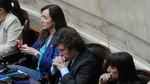 El diputado nacional y presidente electo Javier Milei (Foto: Federico López Claro)