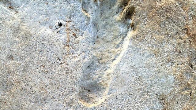 Un descubrimiento cambia la historia de la llegada del hombre a América: hallaron huellas humanas de la Edad de Hielo