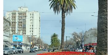 Así retrató el fotógrafo Mario Cabrera la intervención de Bomba de Lana en el Centro rafaelino