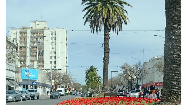 Así retrató el fotógrafo Mario Cabrera la intervención de Bomba de Lana en el Centro rafaelino