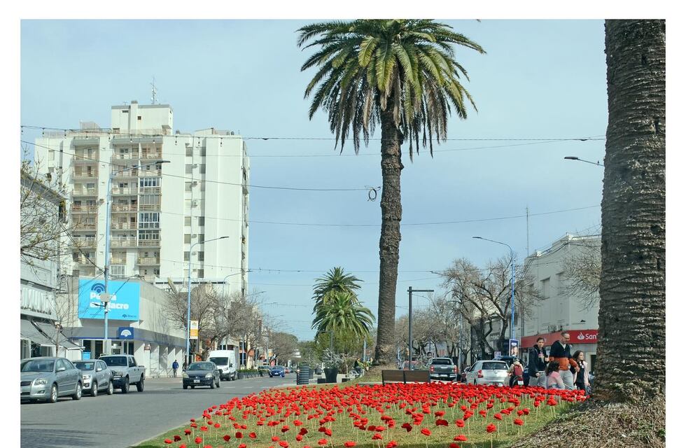 Tras robarse las rosas, “Bomba de Lana” repondrá la intervención artística a fin de este mes
