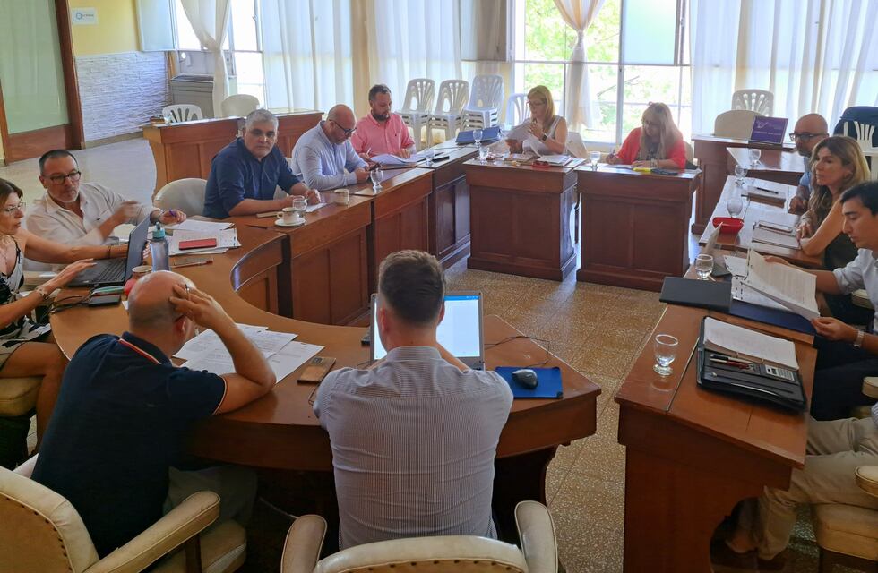 “Pirotecnia cero”: tratarán el tema en el Concejo Deliberante