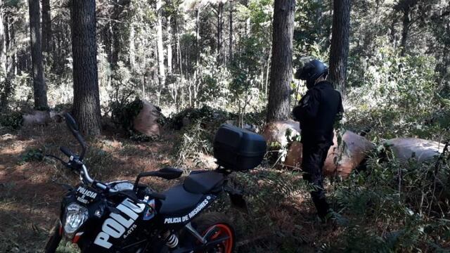 Intento de robo de hoja verde en Eldorado. Policía de Misiones