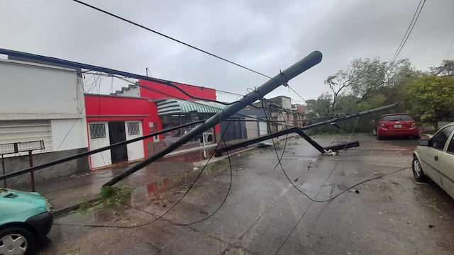 Proponen medidas de alivio fiscal para afectados por el temporal.