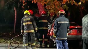 Impresionante accidente en Pocito: un hombre murió al impactar contra un árbol