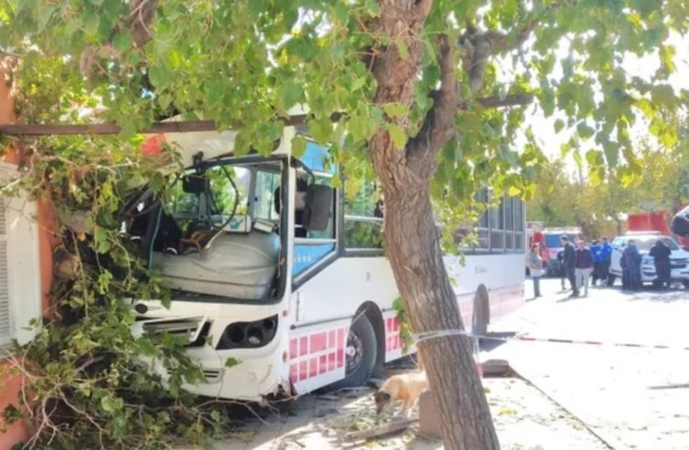El chofer se descompensó y el colectivo con 15 pasajeros chocó de lleno contra una casa