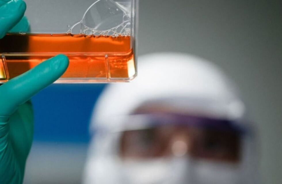 San Luis ya cuenta con suero equino para tratar a pacientes con Covid
