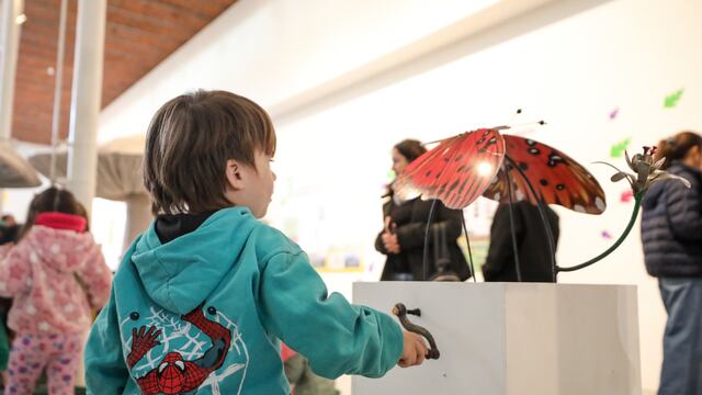 Inauguró la muestra “Experimenta naturaleza”