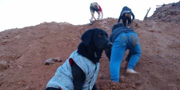 Beto había quedado sepultado bajo una camionada de tierra.