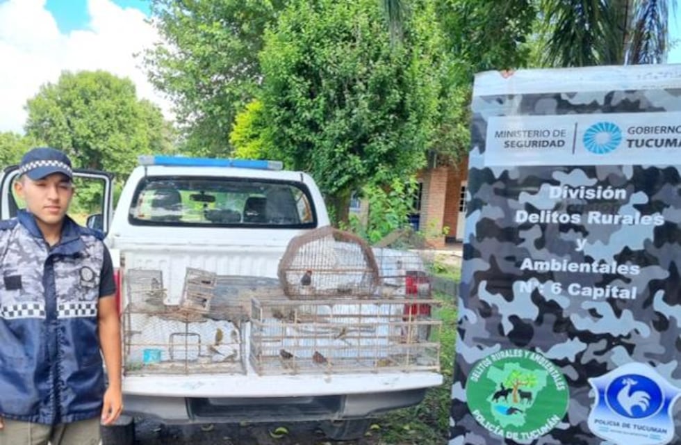 Rescate de aves silvestres comercializadas ilegalmente