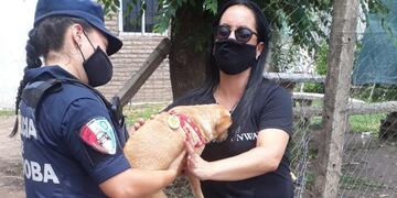 El can se encontraba en buen estado al ser rescatado (La Voz).