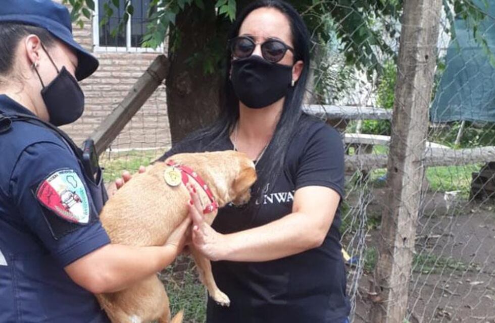 Le robaron el auto en La Calera, con el perro adentro