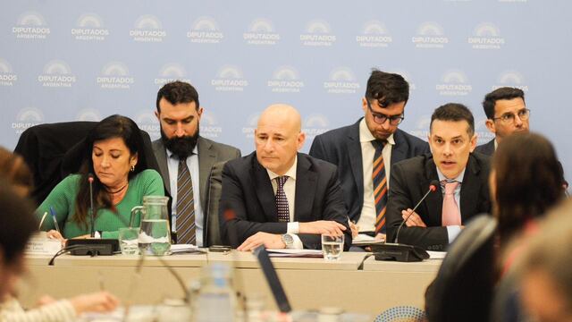 En un plenario de comisiones de Diputados arrancó el debate sobre la baja de edad de imputabilidad (Foto: Federico López Claro)