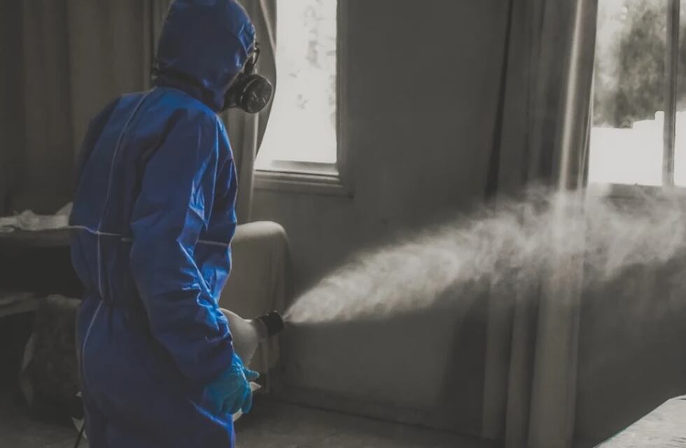 A un año del día en que el mundo se detuvo: relatos en primera persona