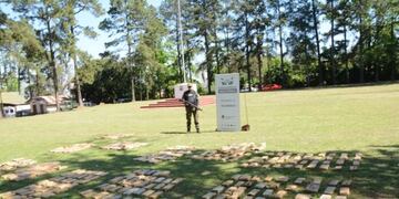 Colonia Mado: incautaron más de 300 kilos de marihuana abandonados en una vegetación