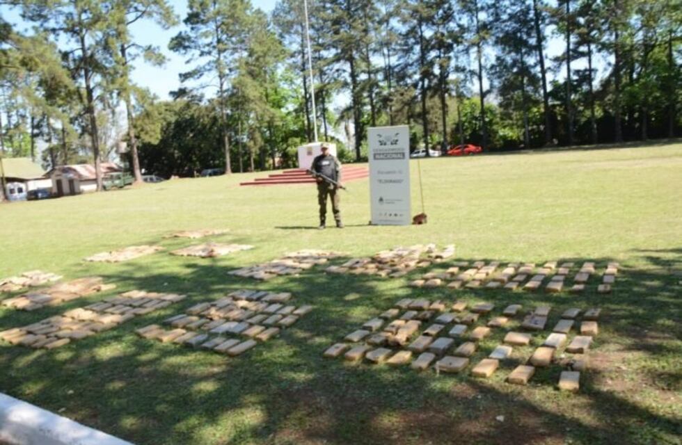 Colonia Mado: incautaron más de 300 kilos de marihuana abandonados en una vegetación