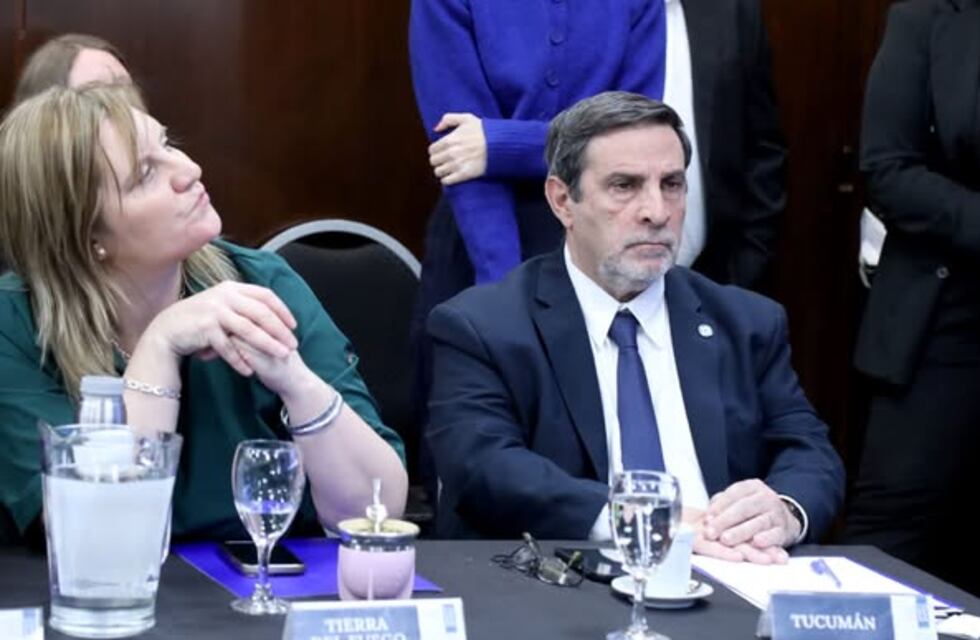 Medina Ruiz participó del COFESA junto a sus pares de Salud