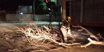 Debieron cortar ramas de árboles caídos por la tormenta en San Luis y habilitar las calles.