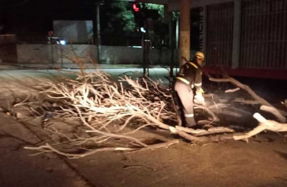 Fuertes vientos azotaron San Luis y dejaron destrozos