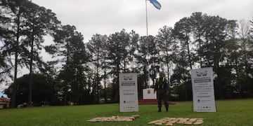 Secuestran marihuana en Colonia Delicia.