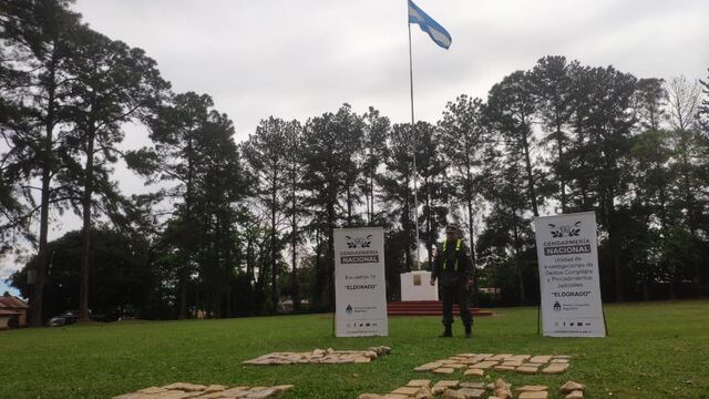 Secuestran marihuana en Colonia Delicia.