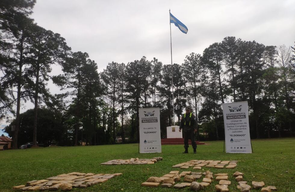 Secuestran marihuana en Colonia Delicia