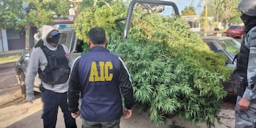 Operativo realizado en Frontera