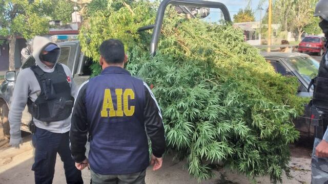 Operativo realizado en Frontera