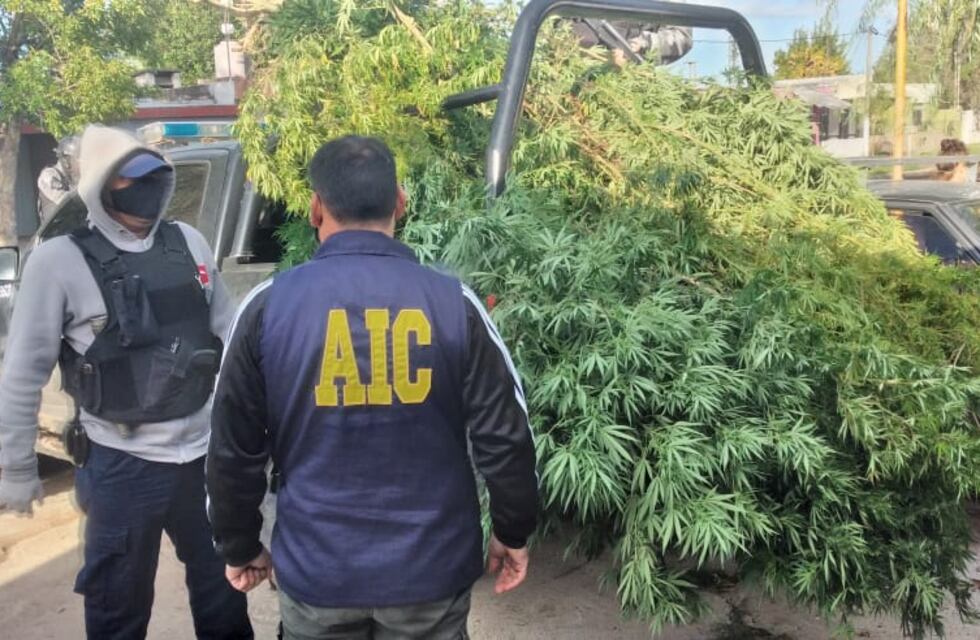 Importante operativo en Frontera: dos adolescentes detenidos y secuestro de armas y marihuana