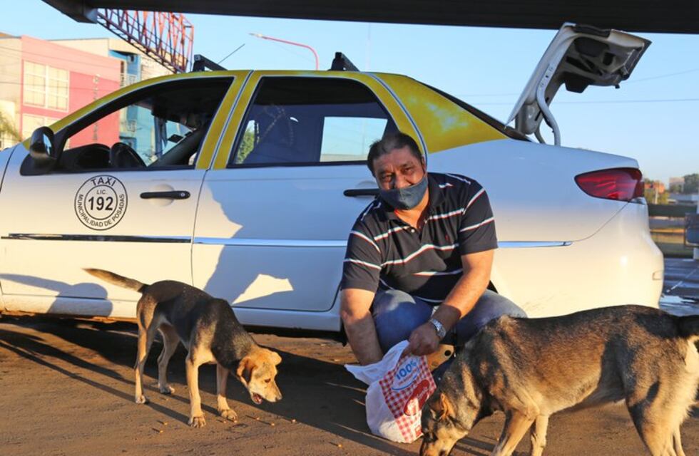 Un taxista instaló tres cuchas para perros sin hogar en la terminal de Posadas