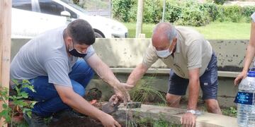 Plan de forestación en un barrio de Villa Carlos Paz.