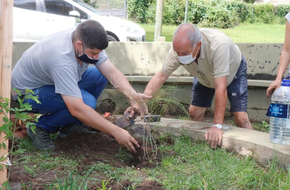 Plantaron especies nativas y embellecieron una plaza de Carlos Paz