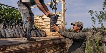 El proyecto es para pequeños productores que no superen las 5 hectáreas.