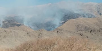 Las llamas descendieron hacia zonas bajas y ya afectaron cerca de 200 hectáreas de pastizales de altura.