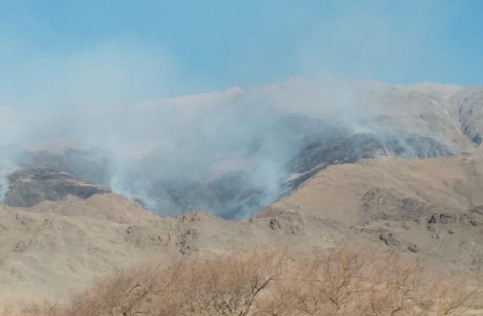 Incendio en cerro Muñoz: el fuego ya alcanzó 200 hectáreas en Tafí del Valle