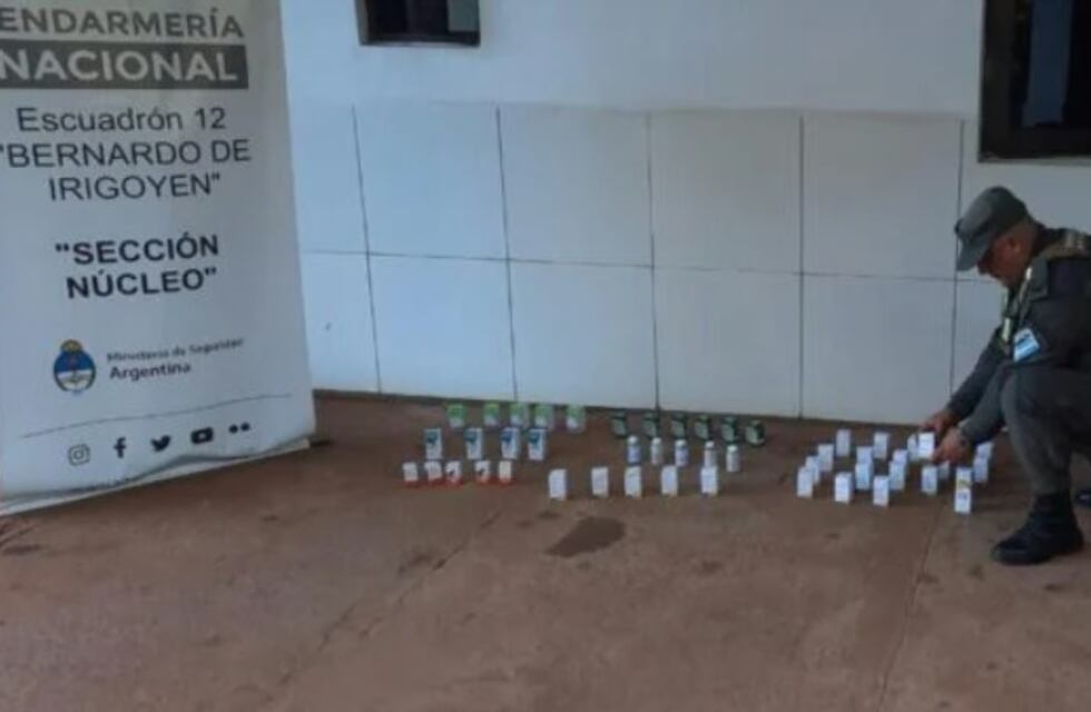 Bernardo de Irigoyen: secuestran medicamentos de uso veterinario