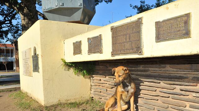 Juicio al exintendente de Dean Funes German Fachin  por la matanza de 200 perros camara 12 tribunales II foto ramiro pereyra