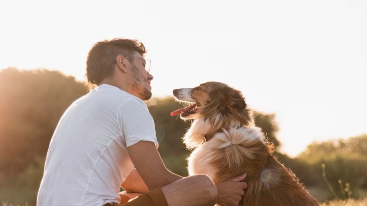 La increíble razón por la que deberías acariciar más a tu perro, según la ciencia