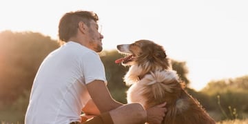 La increíble razón por la que deberías acariciar más a tu perro, según la ciencia